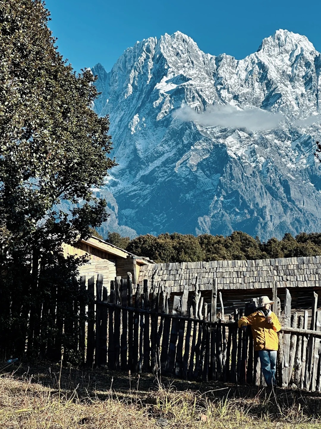🏔香格里拉的淡季，才是真正的人间净土❗_1_曼星屿·雪海森林·哈巴雪山自然风景区_云南-香格里拉-来自52tours 我爱旅游网